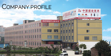 COMPANY PROFILE